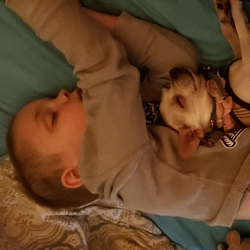 Meet your Posher, Pamela